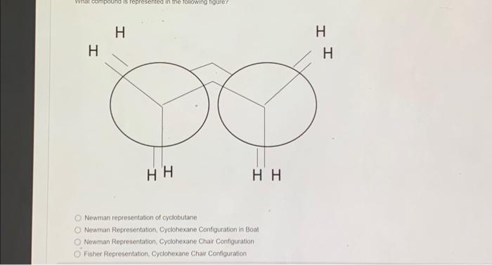 Solved Newman Representation Of Cyclobutane Newman | Chegg.com