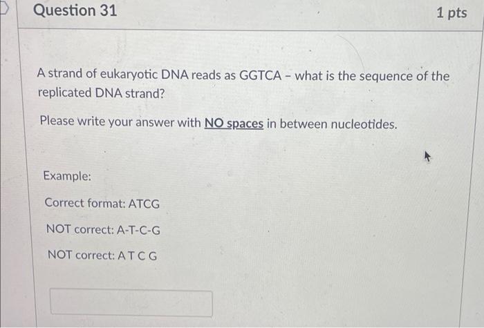 Solved Question 31 1 pts A strand of eukaryotic DNA reads as | Chegg.com