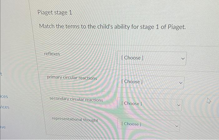 Solved Piaget stage 1 Match the terms to the child s ability