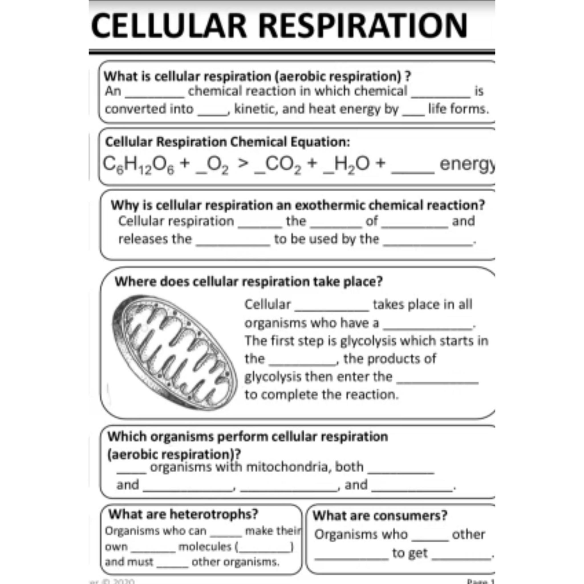 Solved Answer As much Please about cellular repspirestion | Chegg.com