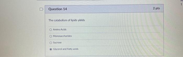 Question 14 2 pts The catabolism of lipids yields Amino Acids O Monosaccharides Sucrose Glycerol and Fatty acids