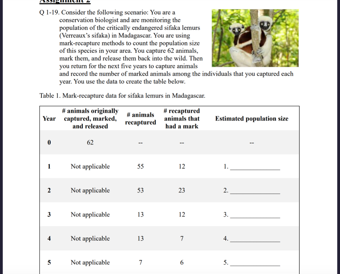 solved-q-1-19-consider-the-following-scenario-you-are-a-chegg