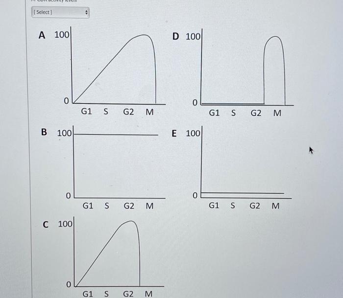 Solved The graphs below show changes in the amount of | Chegg.com