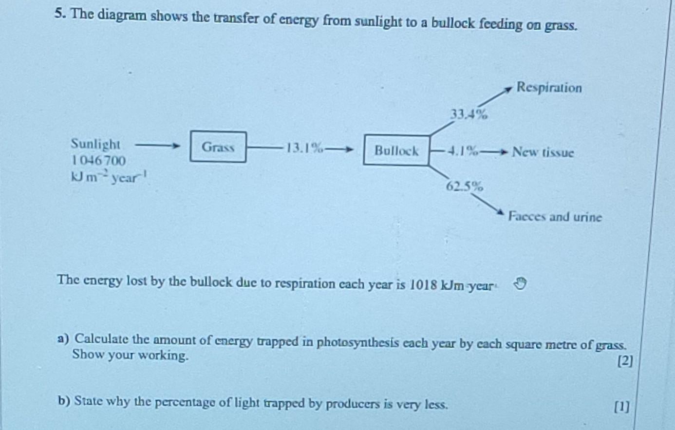 Solved 5. The diagram shows the transfer of energy from | Chegg.com