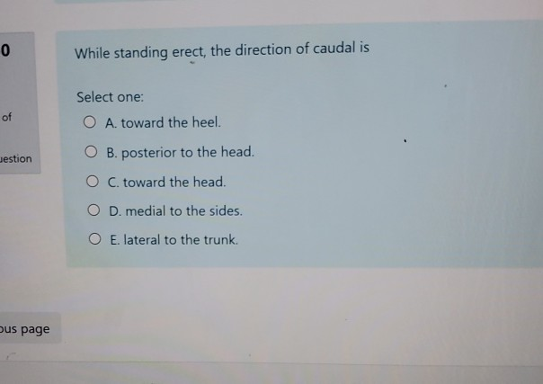 0 While Standing Erect The Direction Of Caudal Is Of Chegg 