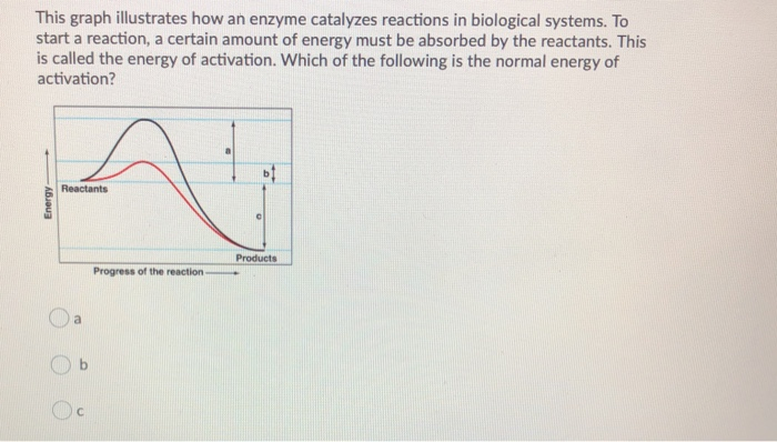 Solved This graph illustrates how an enzyme catalyzes | Chegg.com