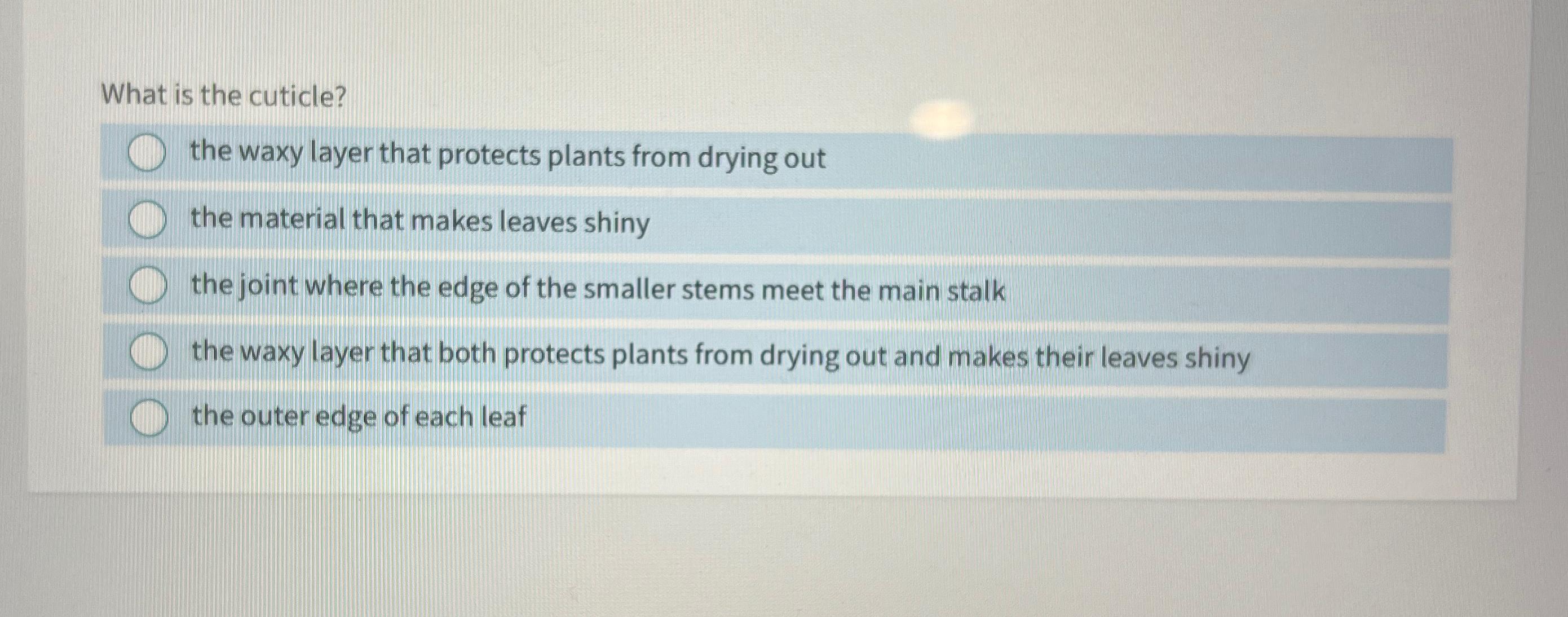 Solved What is the cuticle?the waxy layer that protects | Chegg.com
