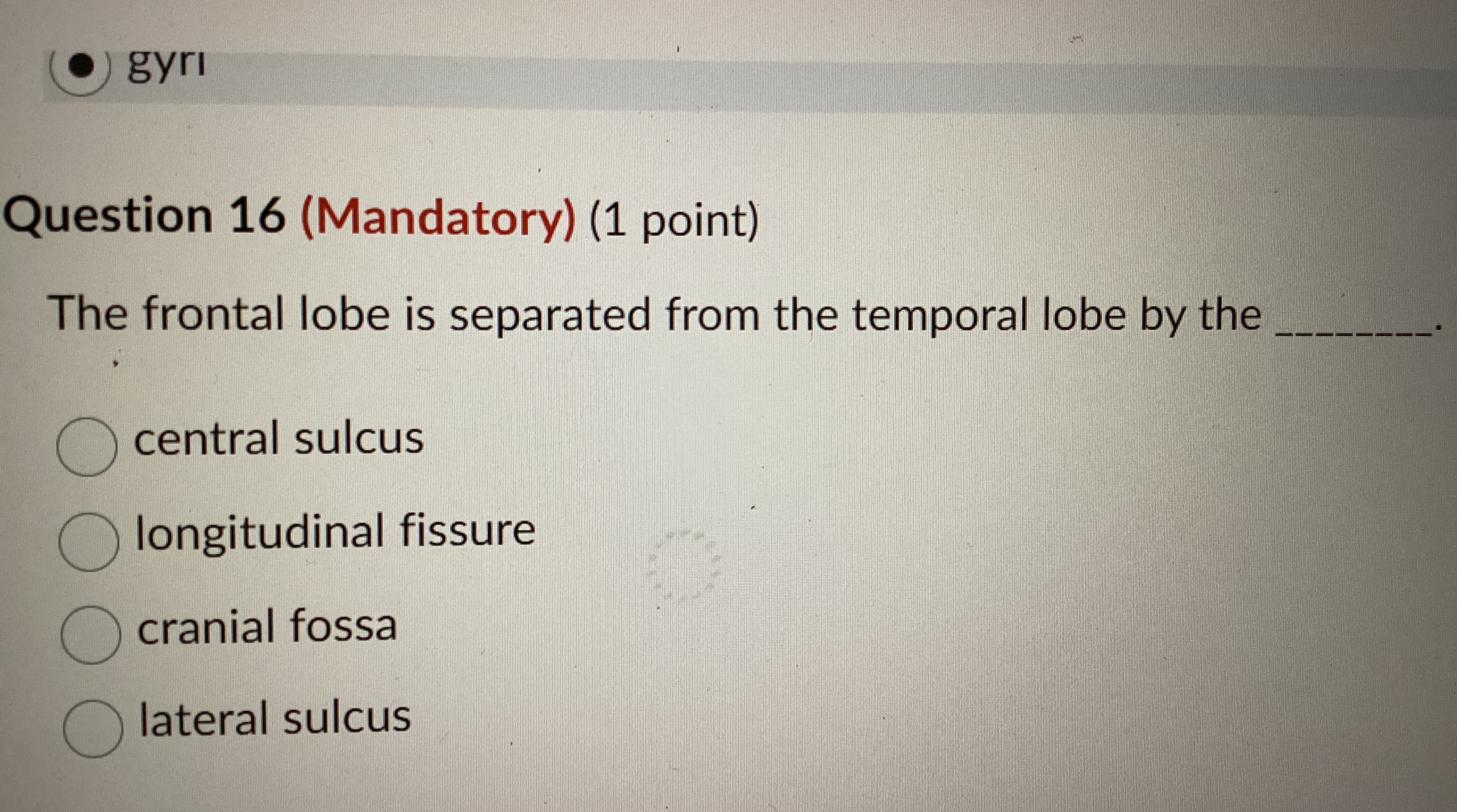 Solved Question 16 (Mandatory) (1 ﻿point)The frontal lobe is | Chegg.com