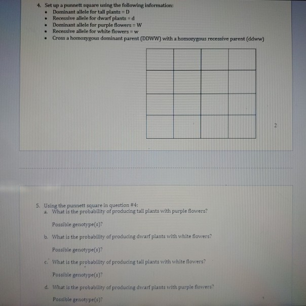 Solved . 4. Set up a punnett square using the following | Chegg.com