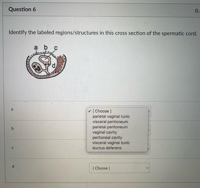 Solved Identify the labeled regions/structures in this cross | Chegg.com