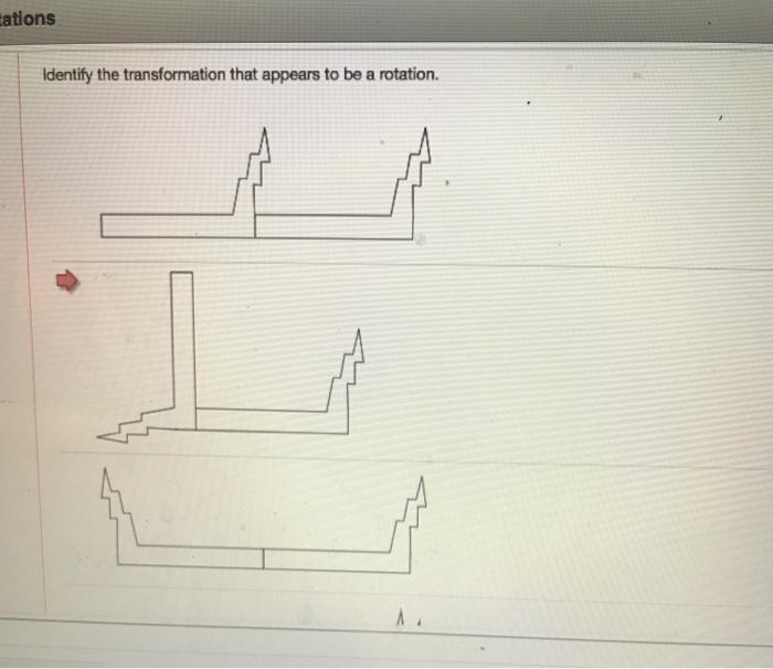 Solved tations Identify the transformation that appears to | Chegg.com
