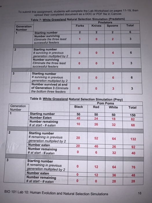 Solved To Submit This Assignment Students Will Complete The Chegg Com