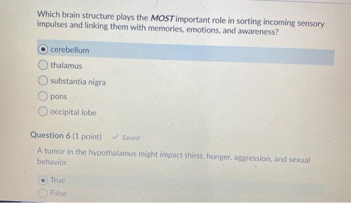 Solved Question 1 (1 Point) Saved Where Do Efferent | Chegg.com