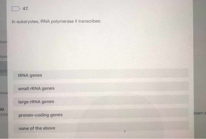 D47.
In eukaryotes, RNA polymerase Il transcribes:
lose
lose
020
tRNA genes
small rRNA genes
Close
large rRNA genes
020
prote