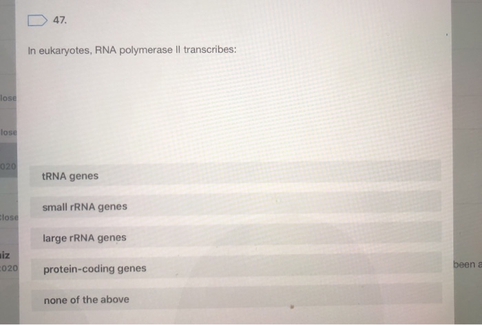 D47.
In eukaryotes, RNA polymerase Il transcribes:
lose
lose
020
tRNA genes
small rRNA genes
Close
large rRNA genes
020
prote