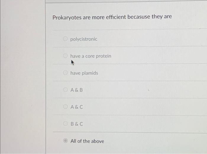 Solved Prokaryotes are more efficient becasuse they are | Chegg.com