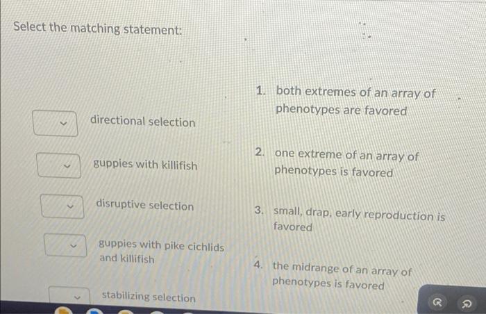 Solved Select the matching statement: directional selection | Chegg.com