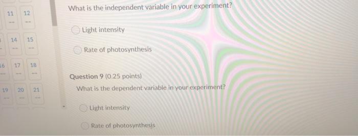 what is the independent variable in photosynthesis experiment