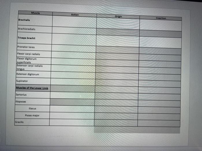 Muscle Action Orlein Insertion Brachialis Brachioradialis Triceps brachii Pronator teres Flexor carpi radialis Flexor digitor