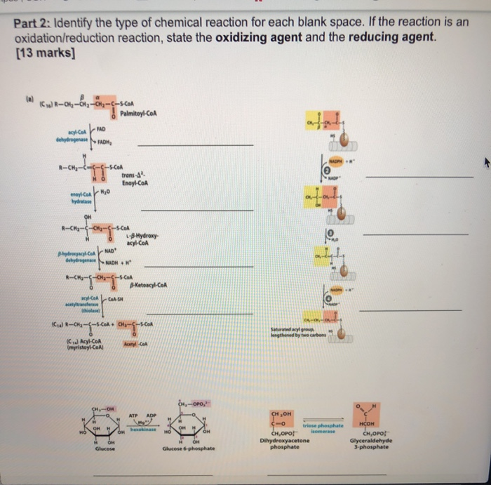 Solved Part 2: Identify the type of chemical reaction for | Chegg.com