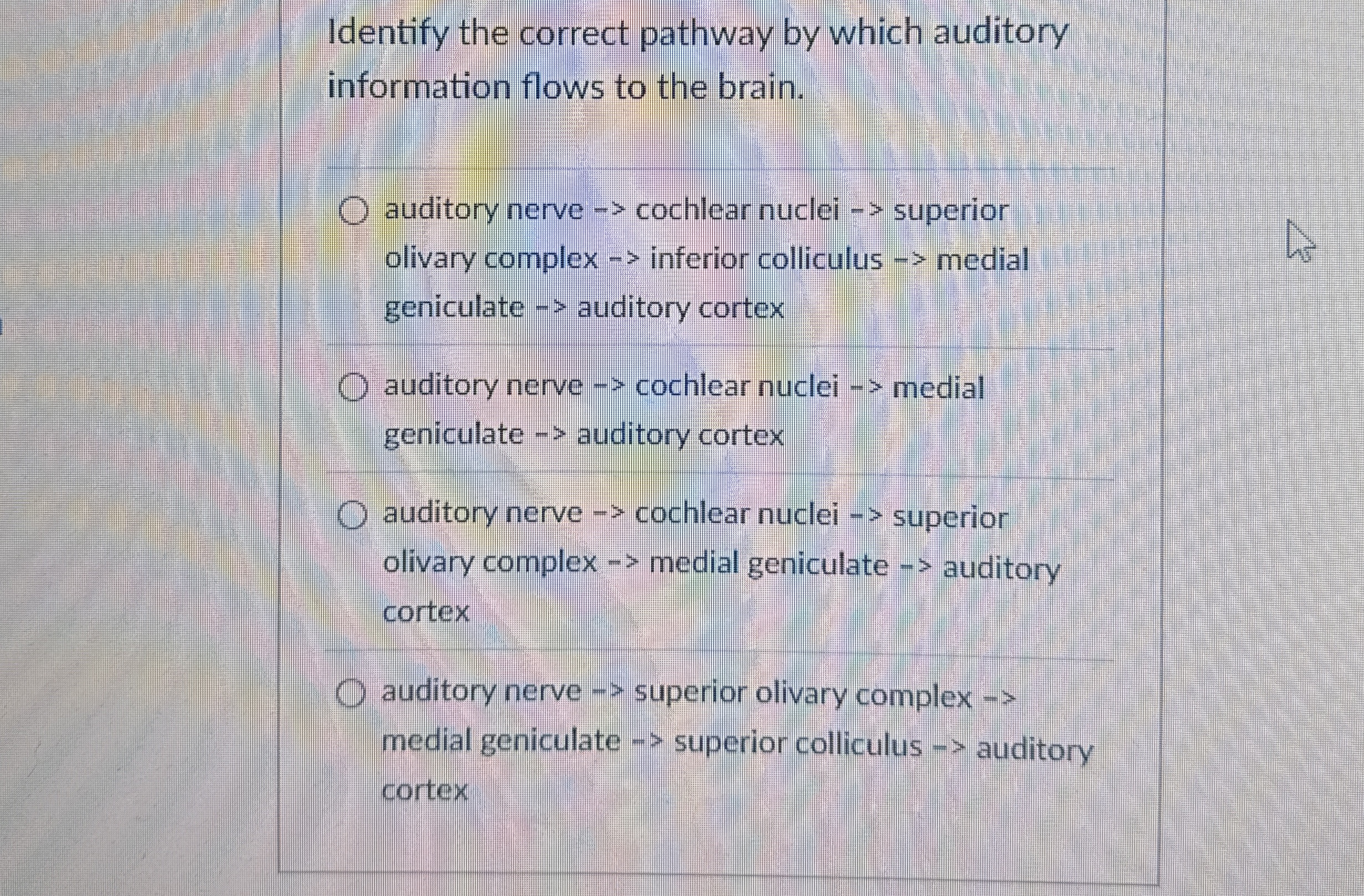 Solved Identify The Correct Pathway By Which Auditory Chegg Com