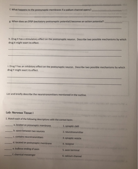 Solved A What Causes The Calcium Influx Into The Axon Chegg Com