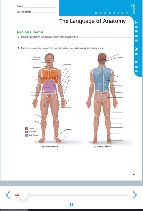 Name Lab Time Date 1 Rcise The Language Of Anatomy Chegg Com