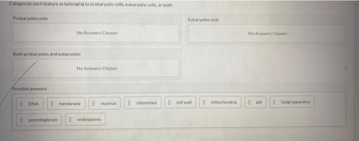 Solved Categorize each feature as belonging to prokaryotic | Chegg.com