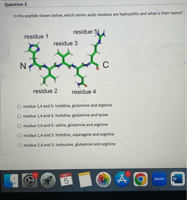 Solved In The Peptide Shown Below, Which Amino Acids | Chegg.com