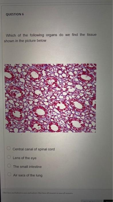 Solved QUESTION 2 Which of the following is correct | Chegg.com