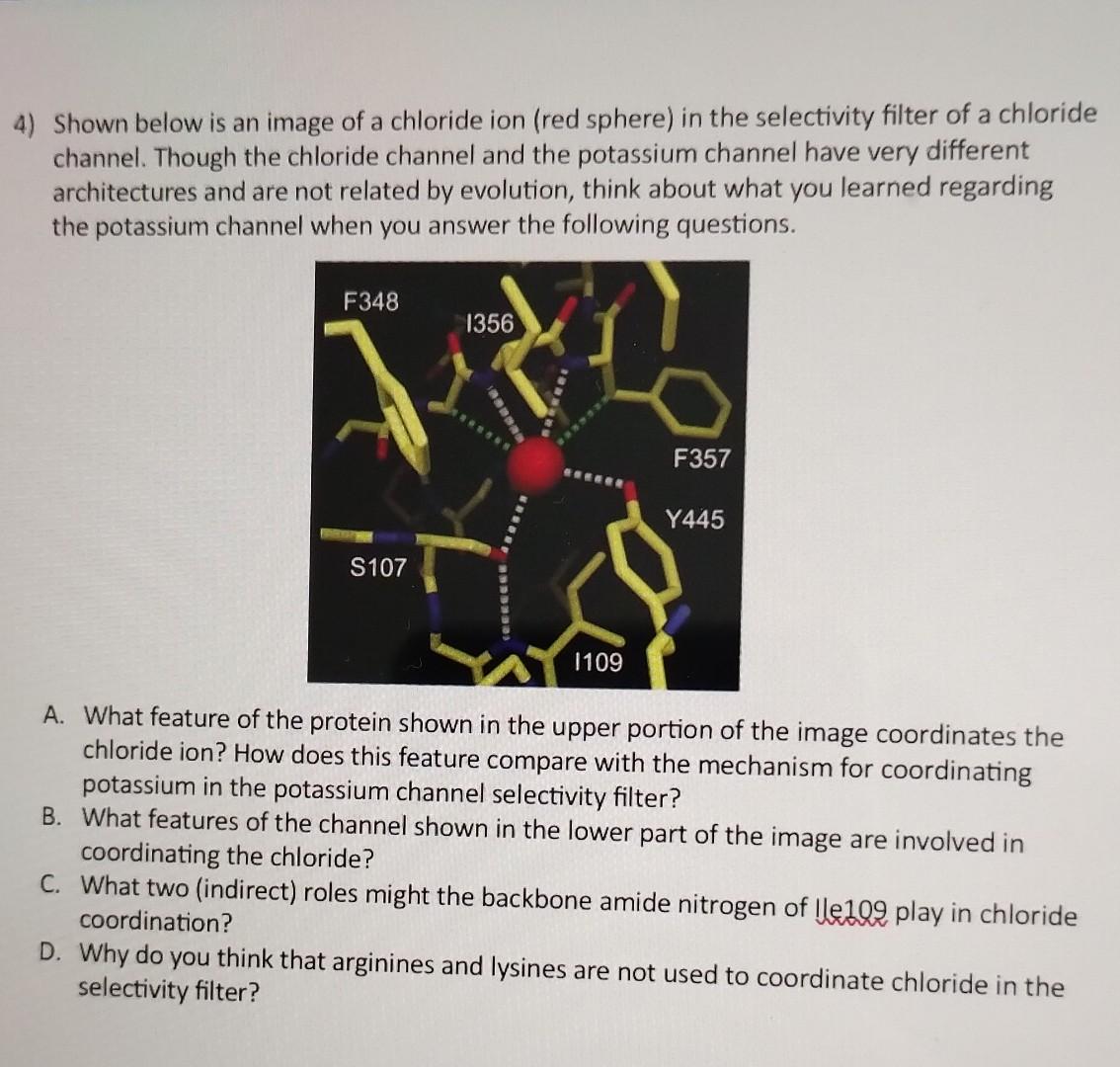 4) Shown Below Is An Image Of A Chloride Ion (red | Chegg.com