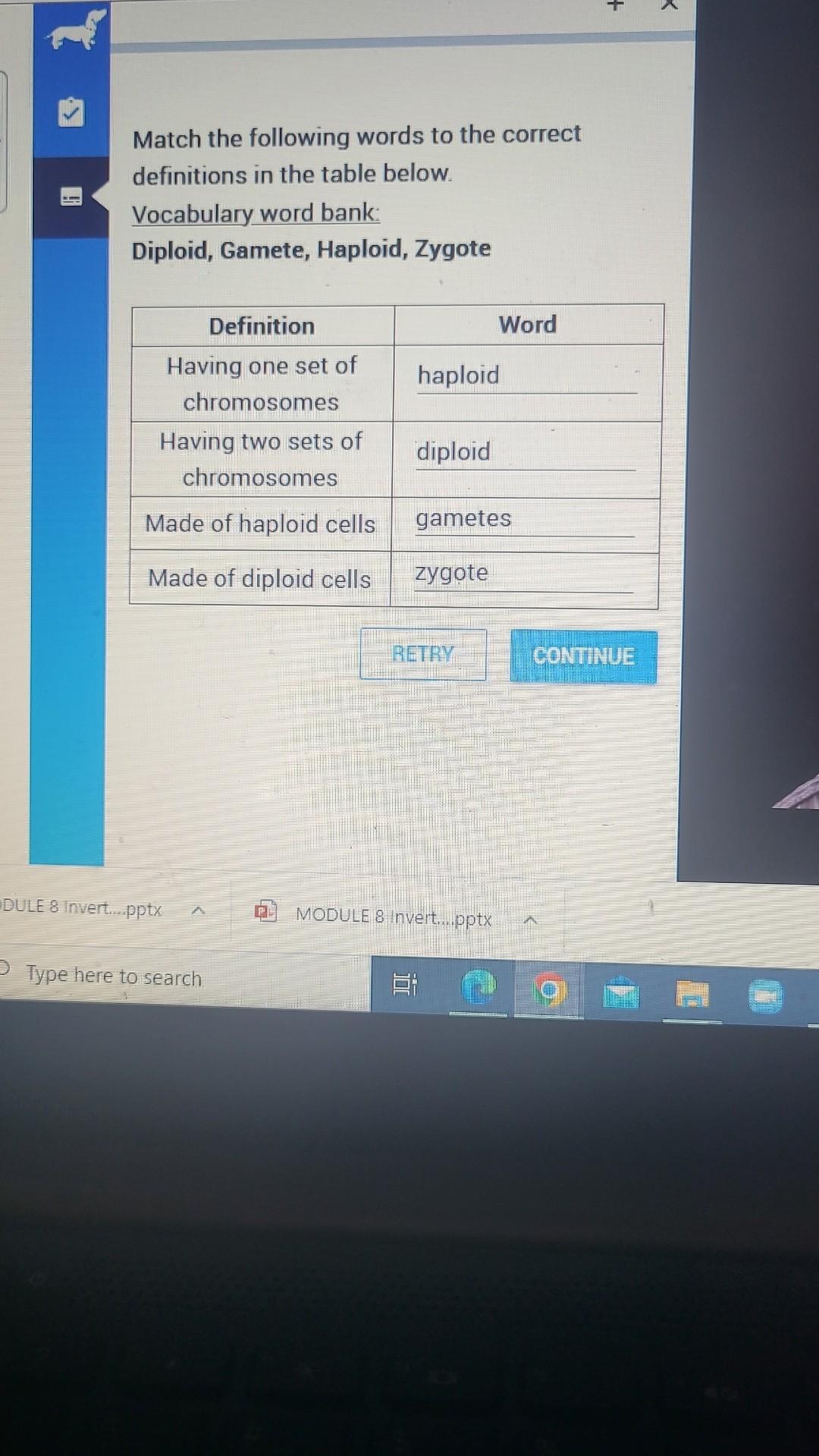 Solved Match the following words to the correct definitions | Chegg.com