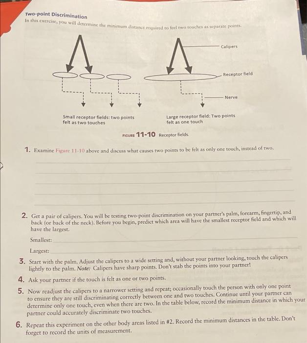 Solved Two-point Discrimination In This Exercise, You Will 