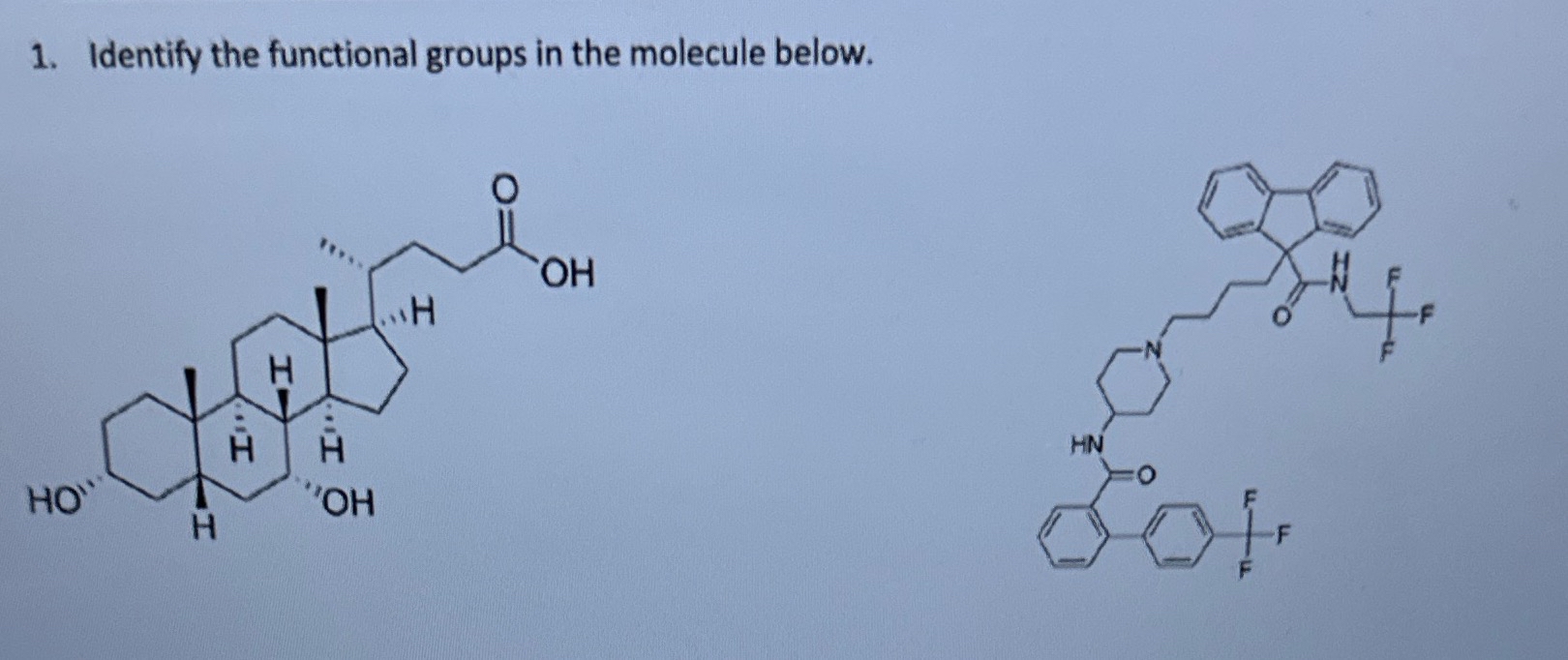 Identify the functional groups in the molecule below. | Chegg.com