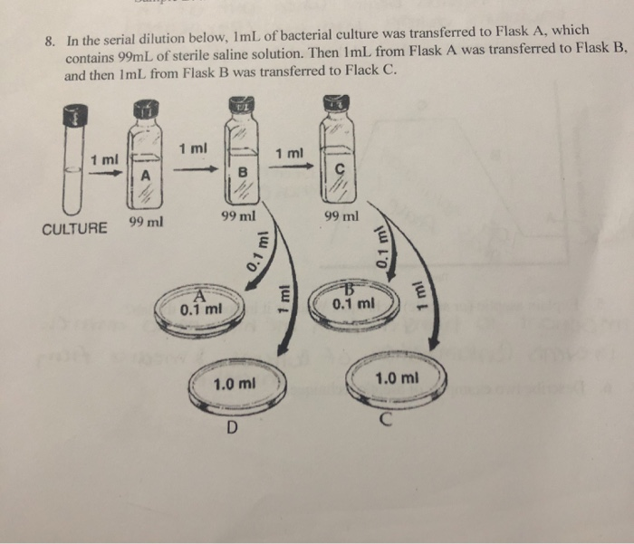 Solved 8. In The Serial Dilution Below, 1mL Of Bacterial | Chegg.com