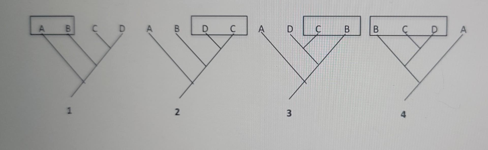 Solved Which of the trees below includes a group (rectangle) | Chegg.com