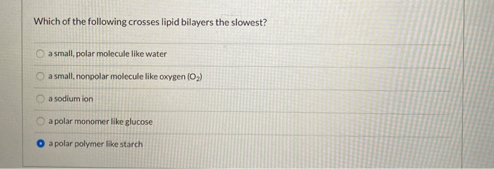 Solved Which Of The Following Crosses Lipid Bilayers The | Chegg.com Solved Which Of The Following Crosses Lipid Bilayers The | Chegg.com