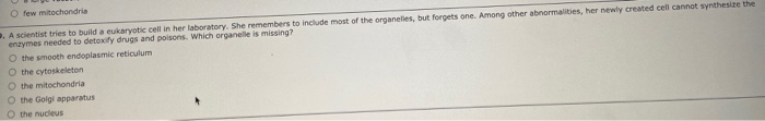 meaning of metabolically active cells