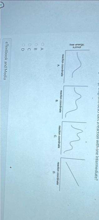 Solved Which of the following energy diagrams shows the | Chegg.com