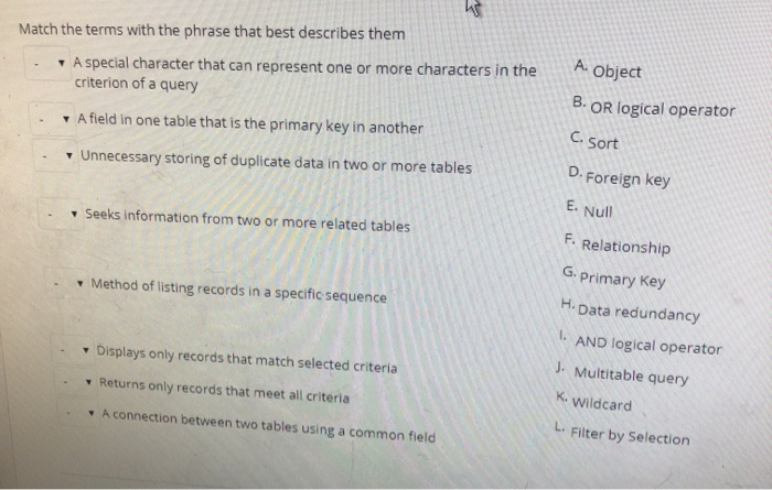 Match the terms with the phrase that best describes them A special character that can represent one or more characters in the