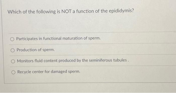 Solved Which of the following is NOT a function of the | Chegg.com