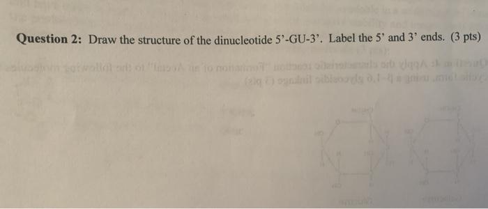 Solved Question 2: Draw the structure of the dinucleotide | Chegg.com
