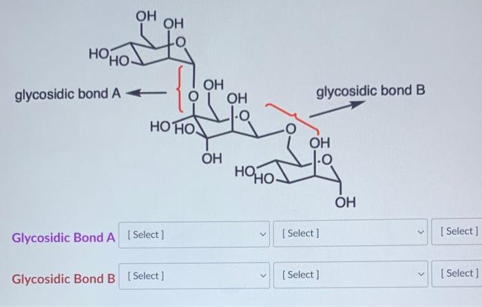 Solved Label the glycosidic bonds below. Format is [alpha or | Chegg.com