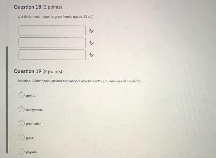 Solved Question 18 3 Points List Three Major Blogenic G Chegg Com
