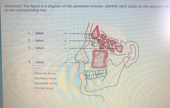 Solved Directions Using Your Cpt Manual Key In The Corr Chegg Com