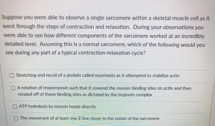 Solved Which Of The Following Statements Accurately | Chegg.com