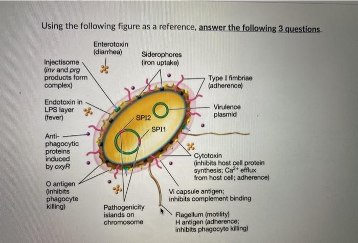 Solved Using the following figure as a reference, answer the | Chegg.com