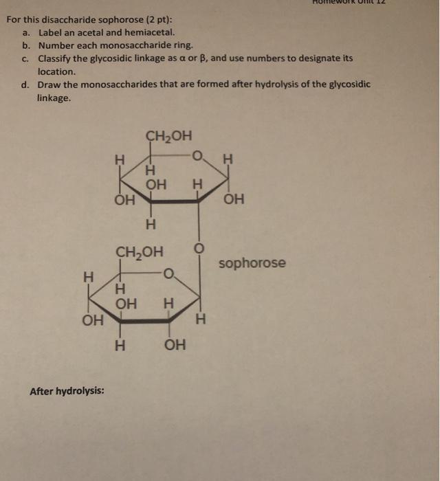 Solved For This Molecule 1 5 Pt A Convert The Fischer Chegg Com