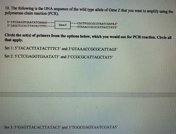 Solved The following is the DNA sequence of the wild type | Chegg.com