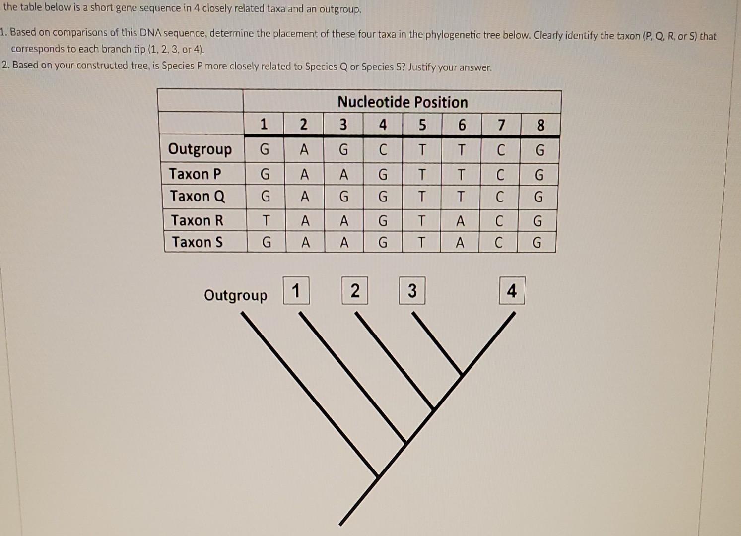 Solved the table below is a short gene sequence in 4 closely | Chegg.com
